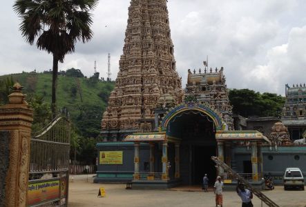 lanka201204-464-2.jpg