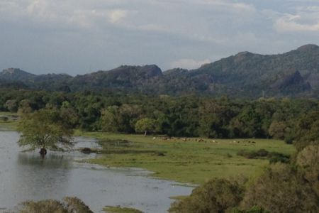 lanka201204-537-2.jpg