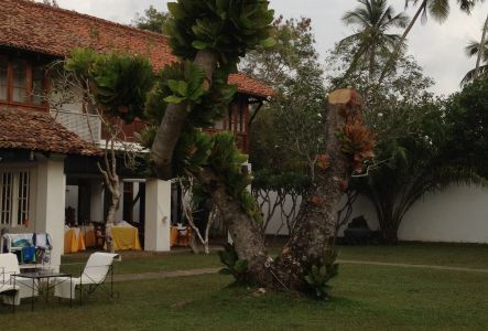 lanka201204-156-2.jpg